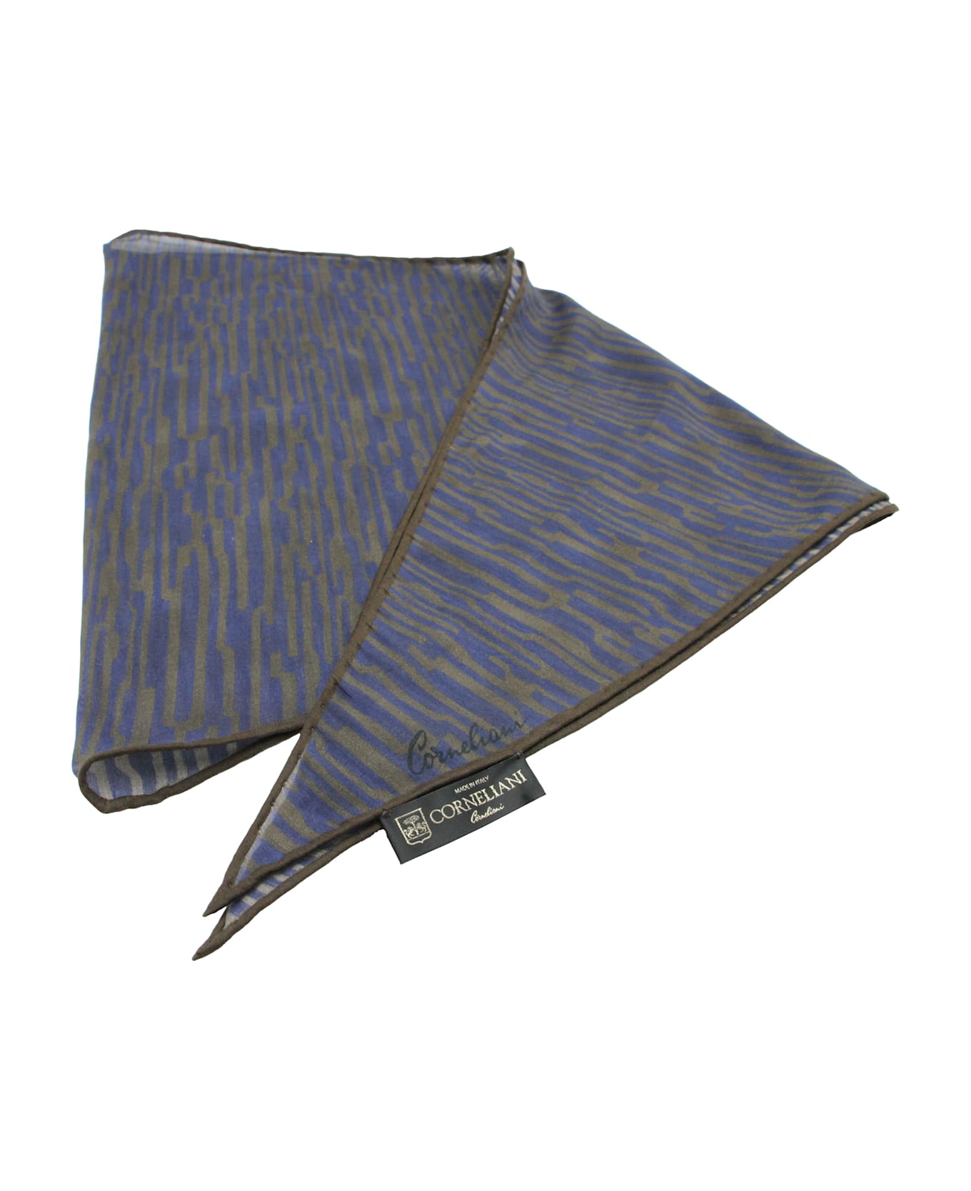 Corneliani Printed Silk Scarf - blue