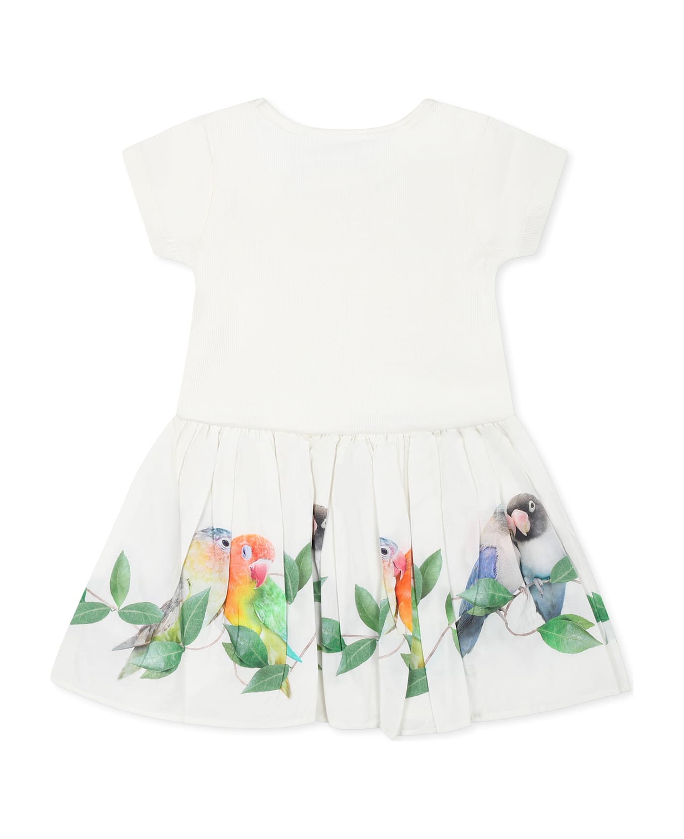 Molo White Dress For Baby Girl With Parrots - White