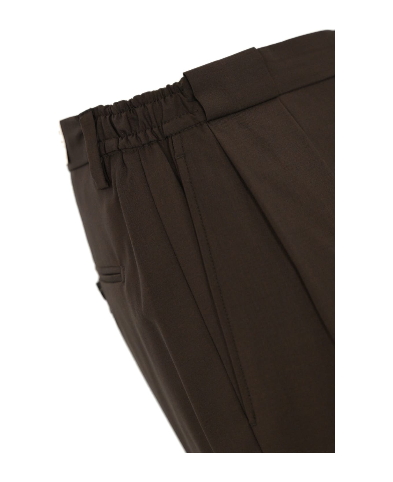 Briglia 1949 Portobellos Trousers With Wool Pleats - Marrone