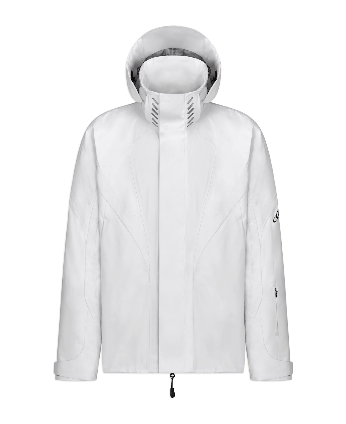 Dior Lewis Hamilton Ski Parka