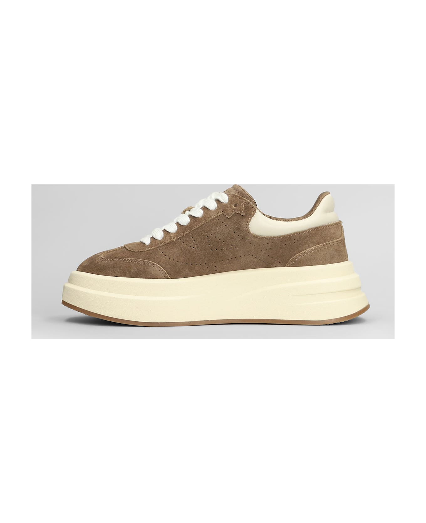 Ash Idol Sneakers In Taupe Suede - taupe