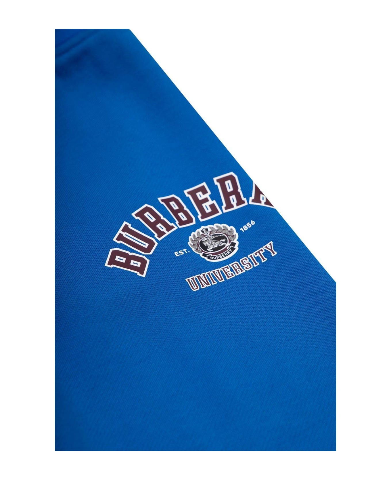 Burberry Logo Printed Sweatpants - BLUE