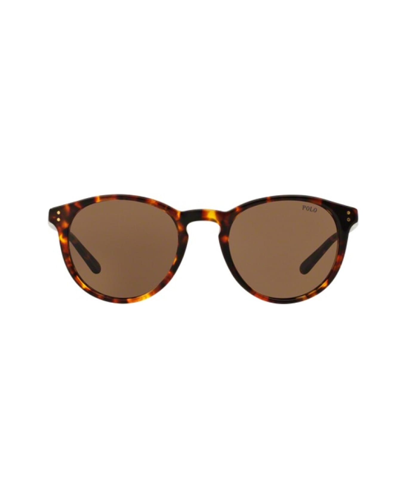 Polo Ralph Lauren Ph4110 513473 Havana Sunglasses - Marrone
