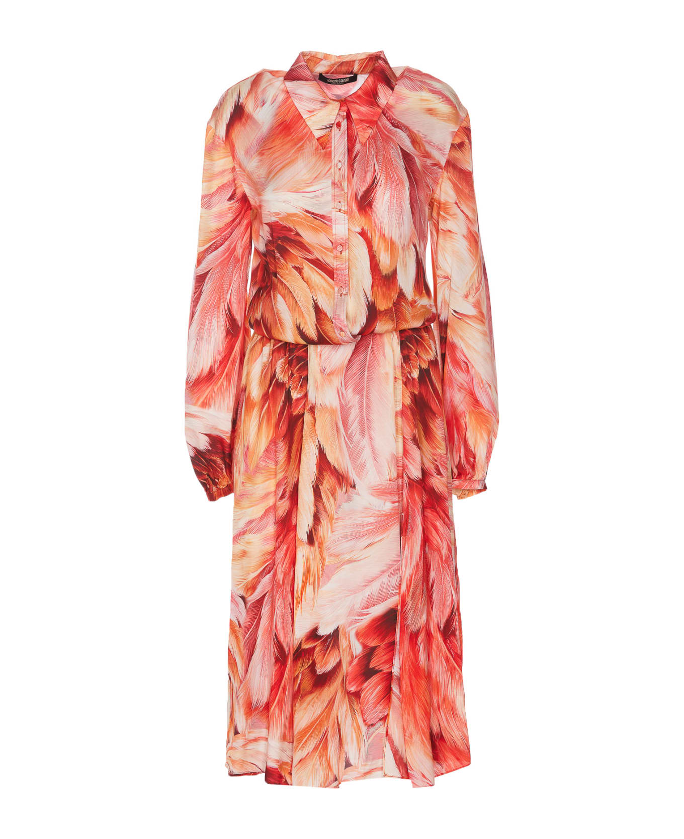 Roberto Cavalli Plumage Print Dress - MultiColour