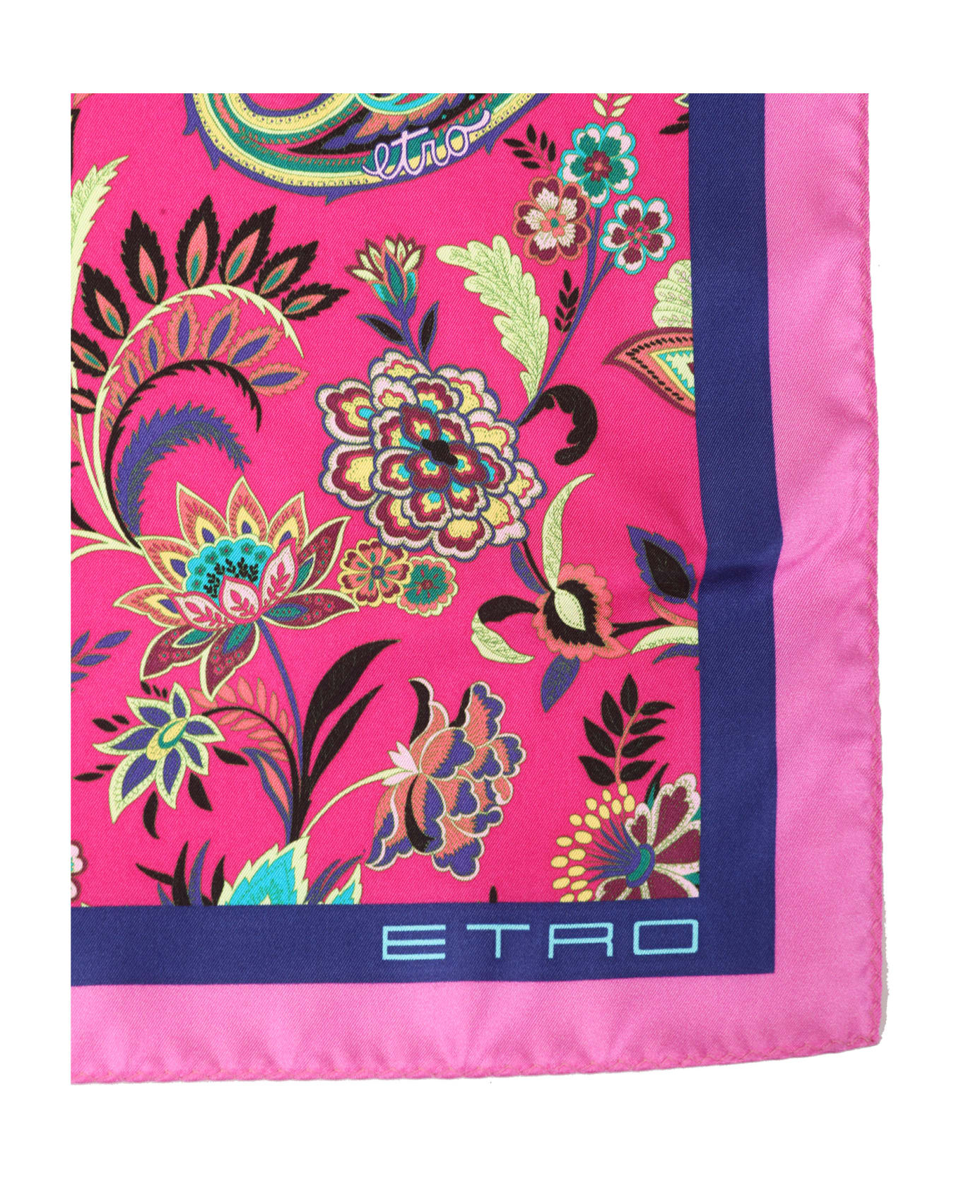 Etro Bags.. Pink - Pink