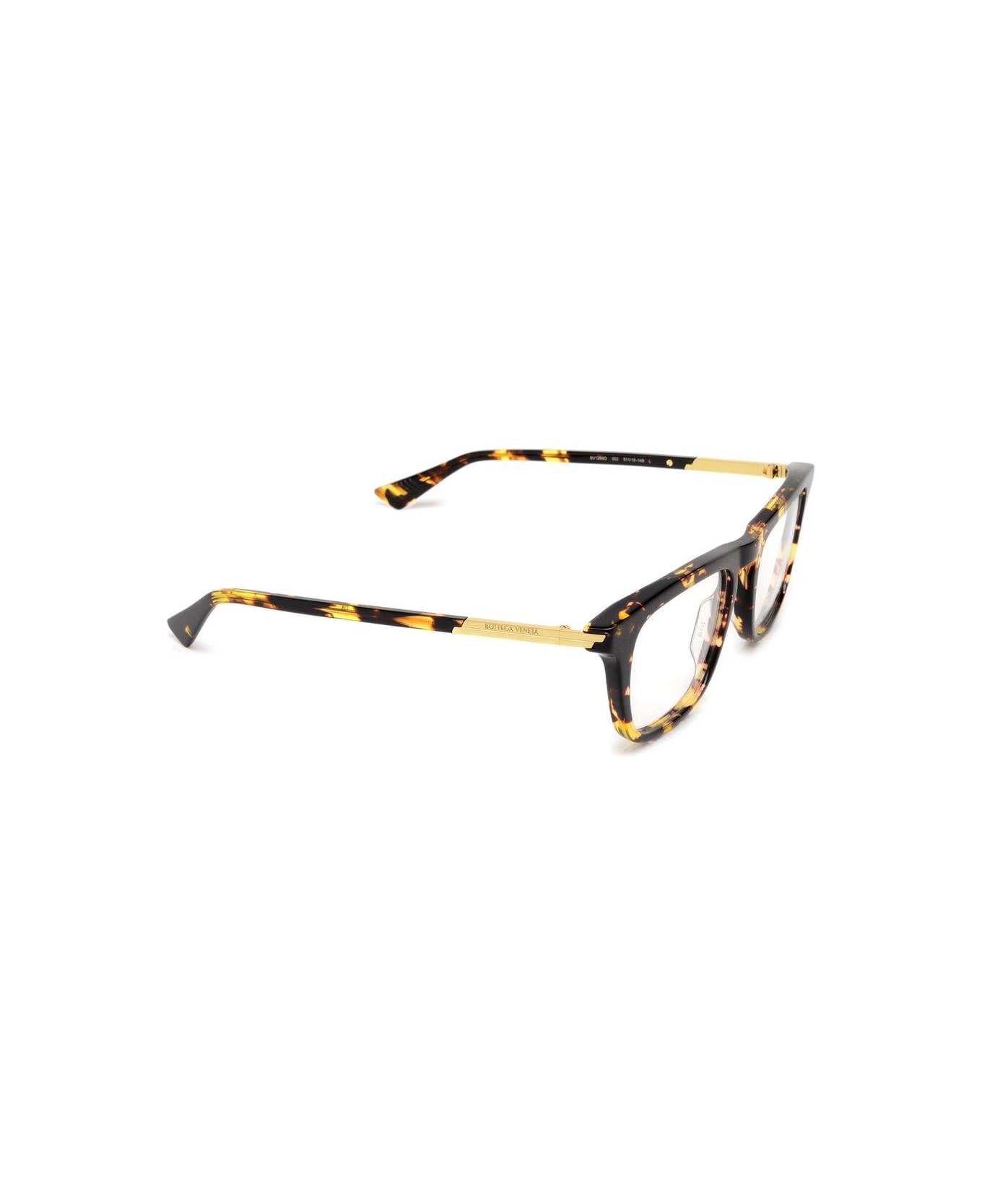 Bottega Veneta Eyewear Sqaure Frame Glasses - 002 havana havana transpa