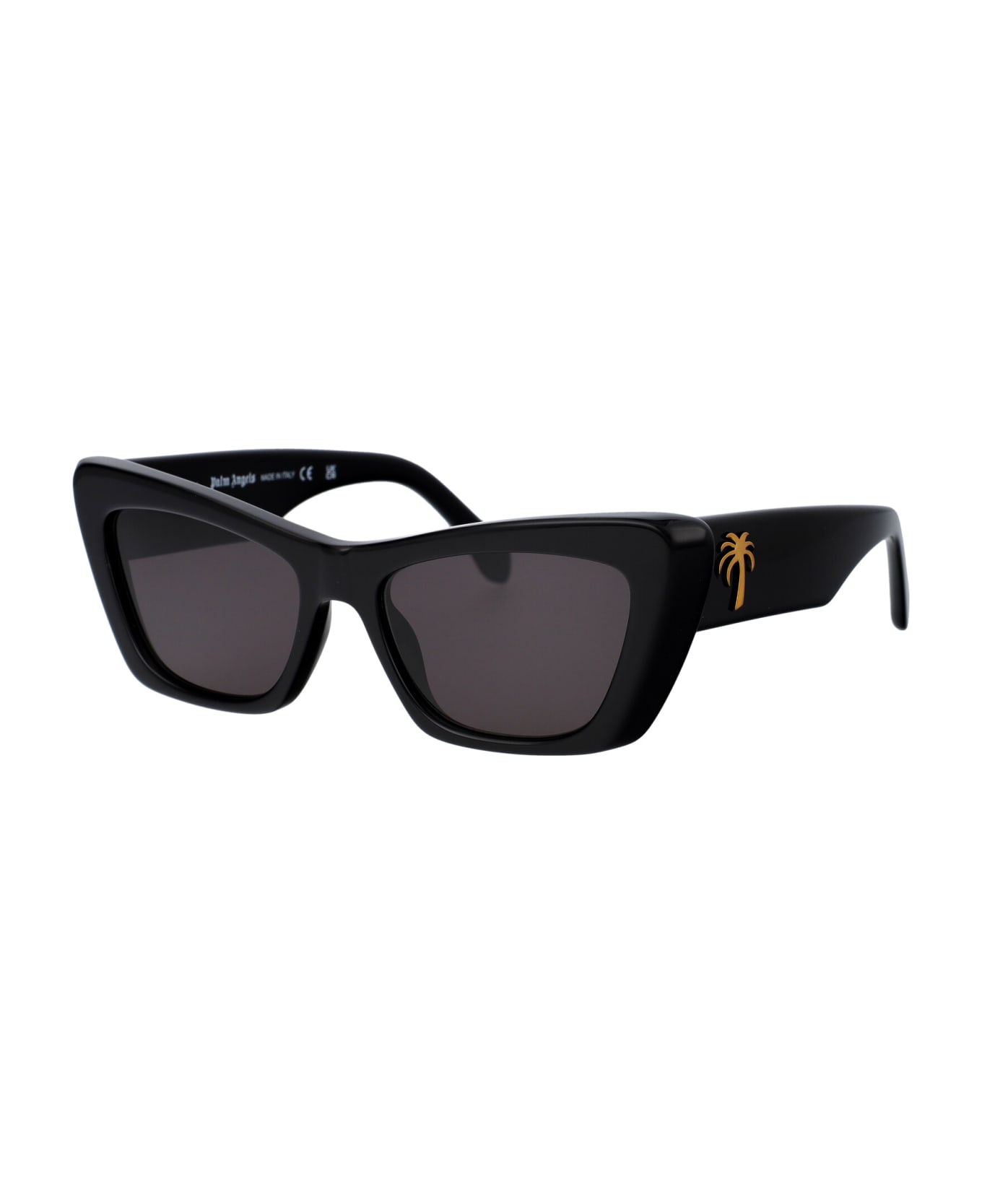 Palm Angels Fairfield Sunglasses - 1007 BLACK