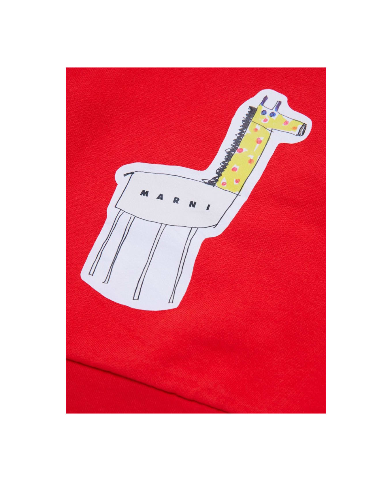 Marni Shirt - RED