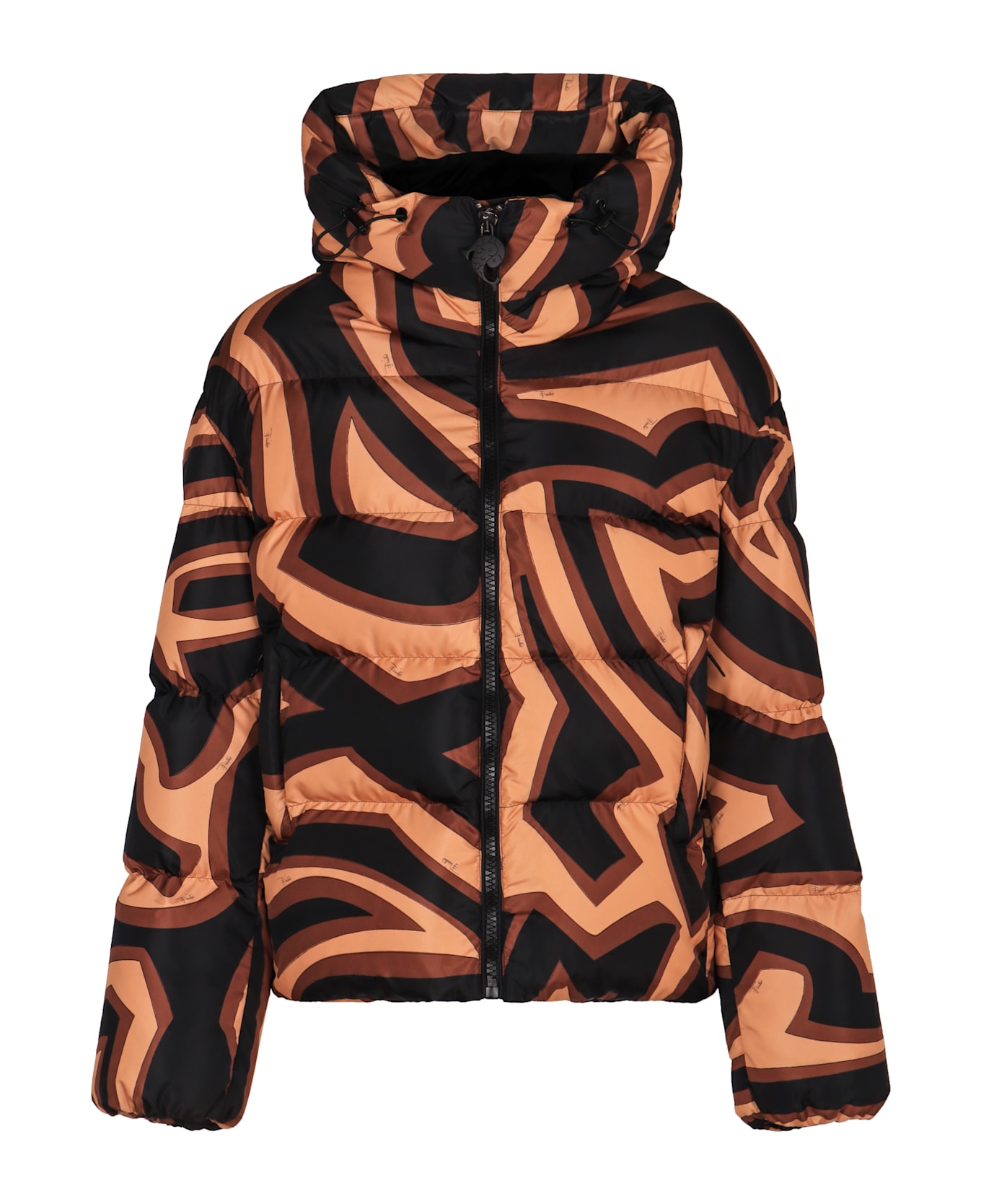 Pucci Down Jacket With Hood - Multicolor