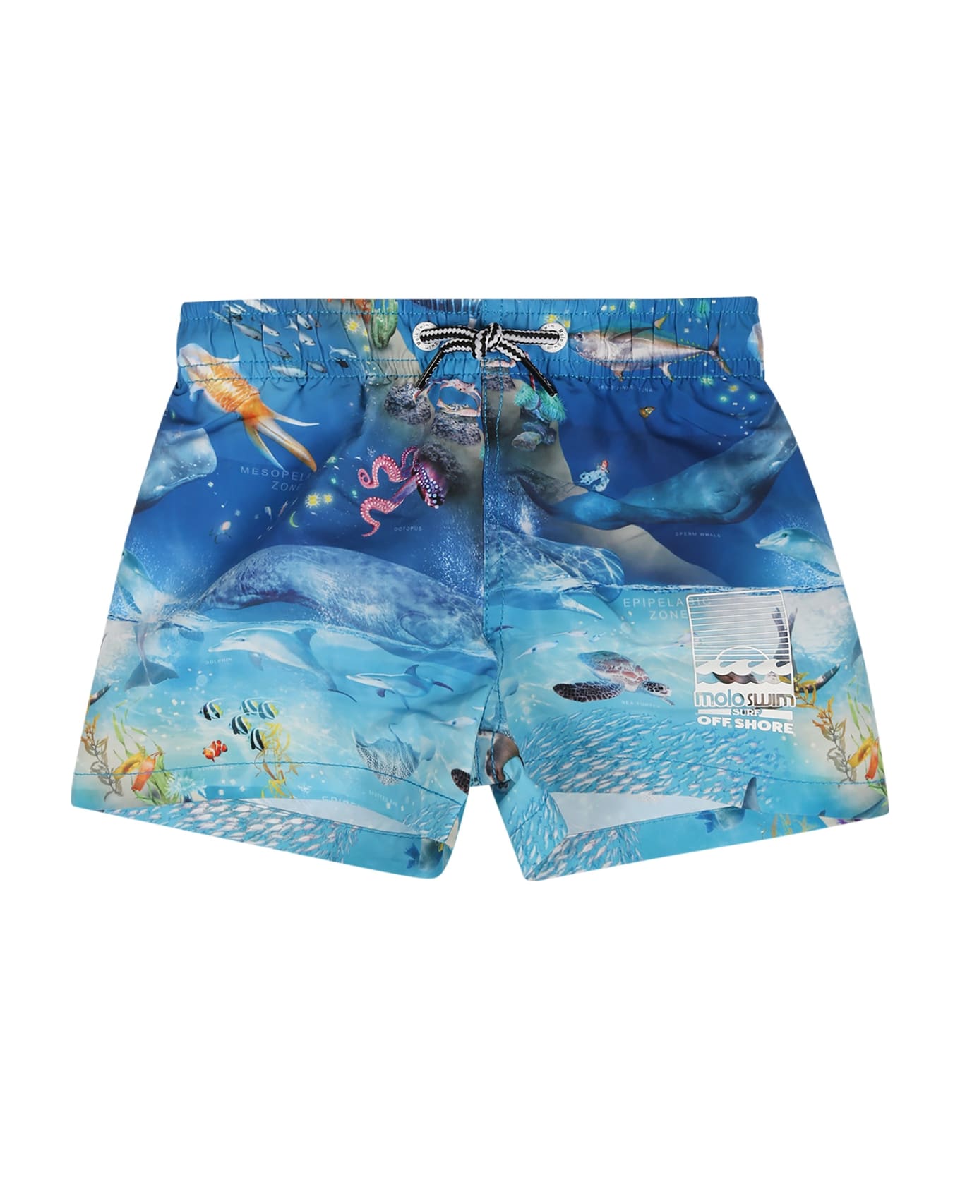 Molo Light Blue Swimsuit For Baby Boy With Marine Animals - Light Blue
