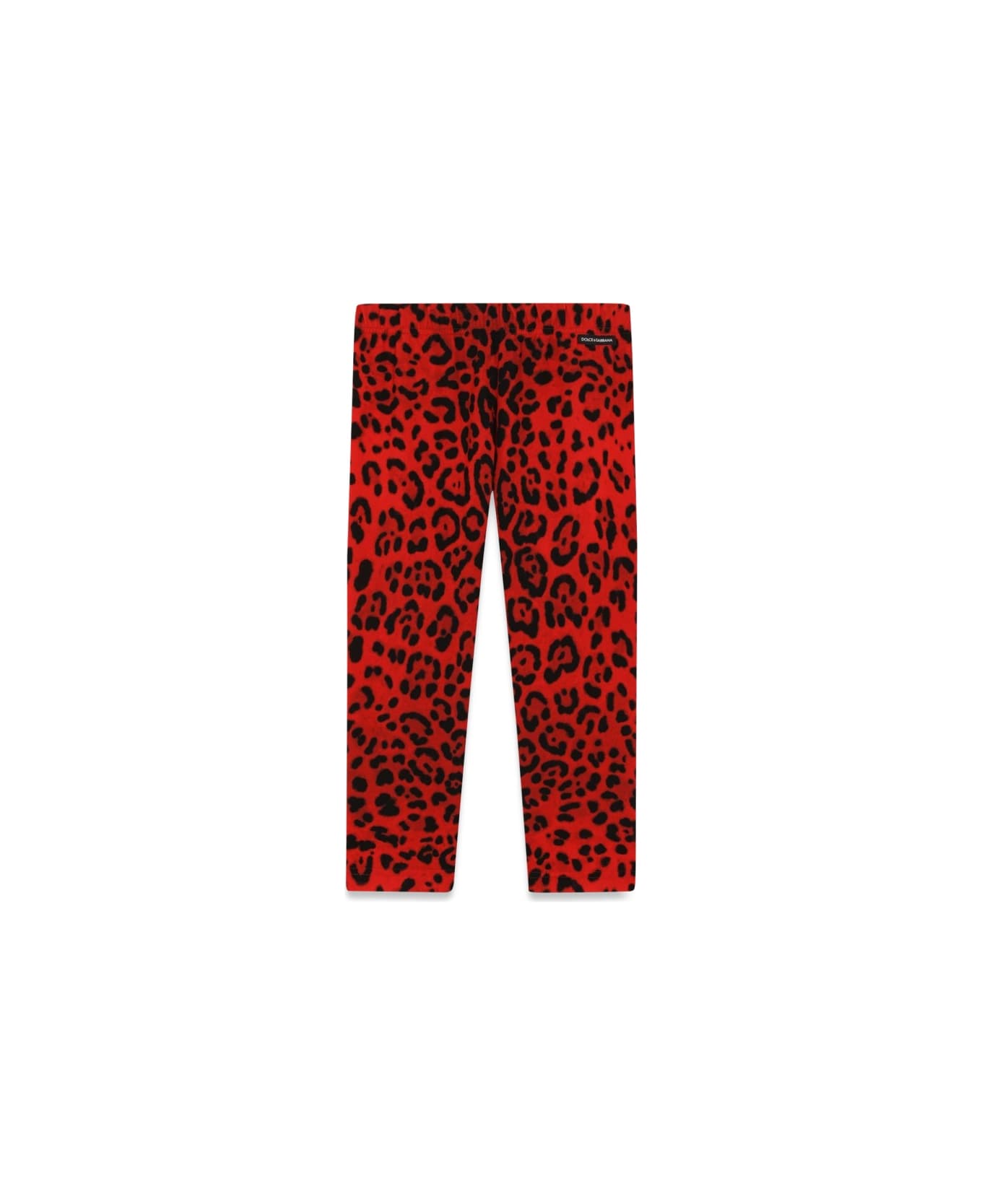Dolce & Gabbana Leggings - ANIMALIER