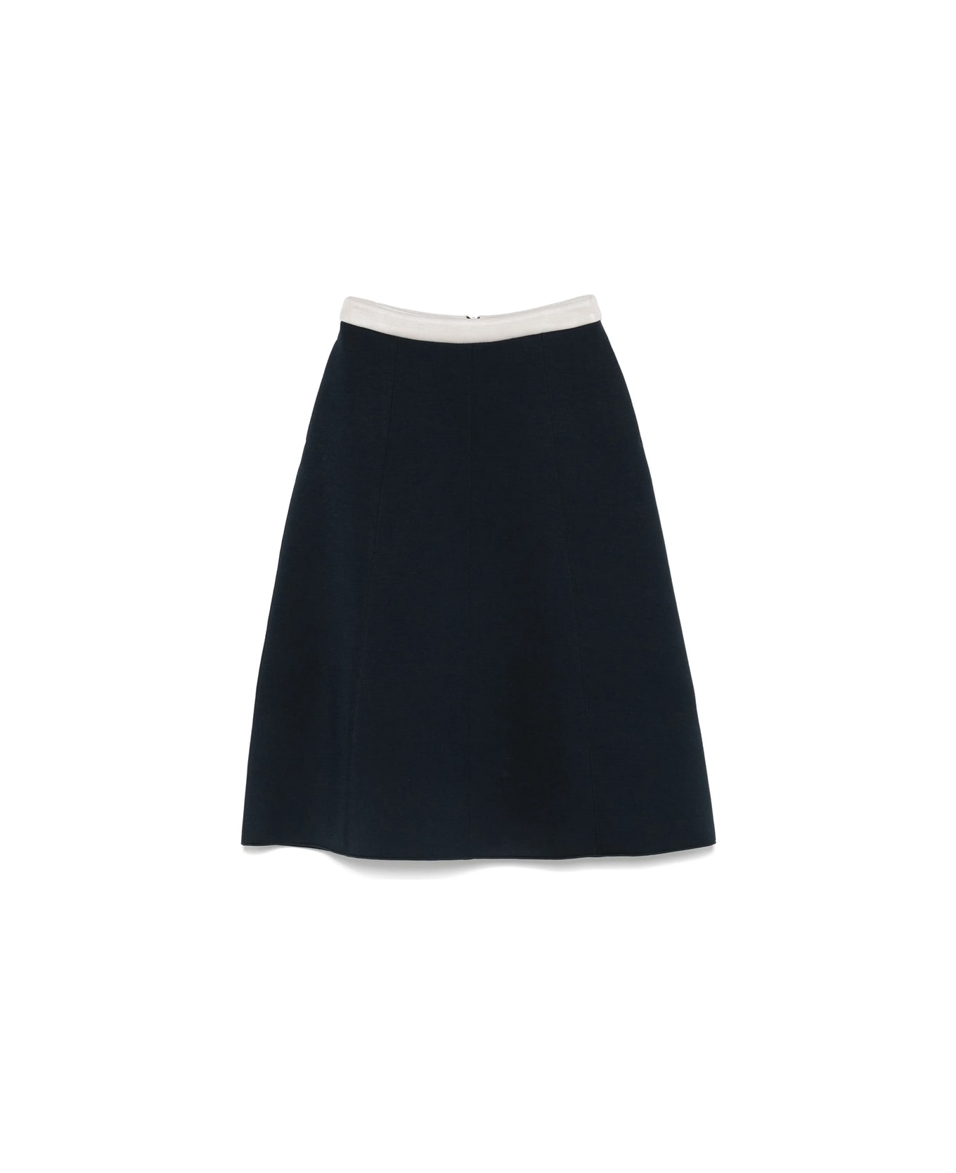 Max Mara Skirt - BLUE