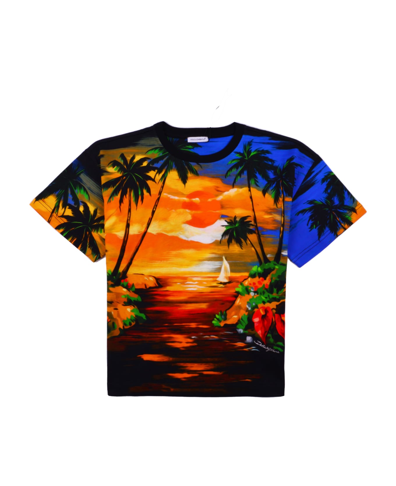 Dolce & Gabbana Printed Jersey T-shirt - Multicolor