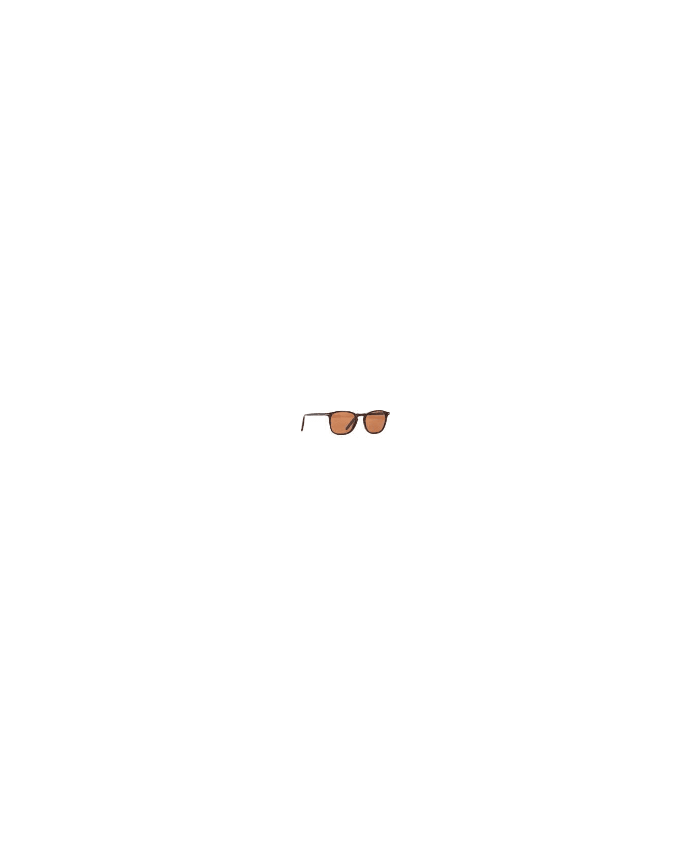 Serengeti Eyewear DELIO SHINY DARK HAVANA / MINE Sunglasses - Delio サングラス