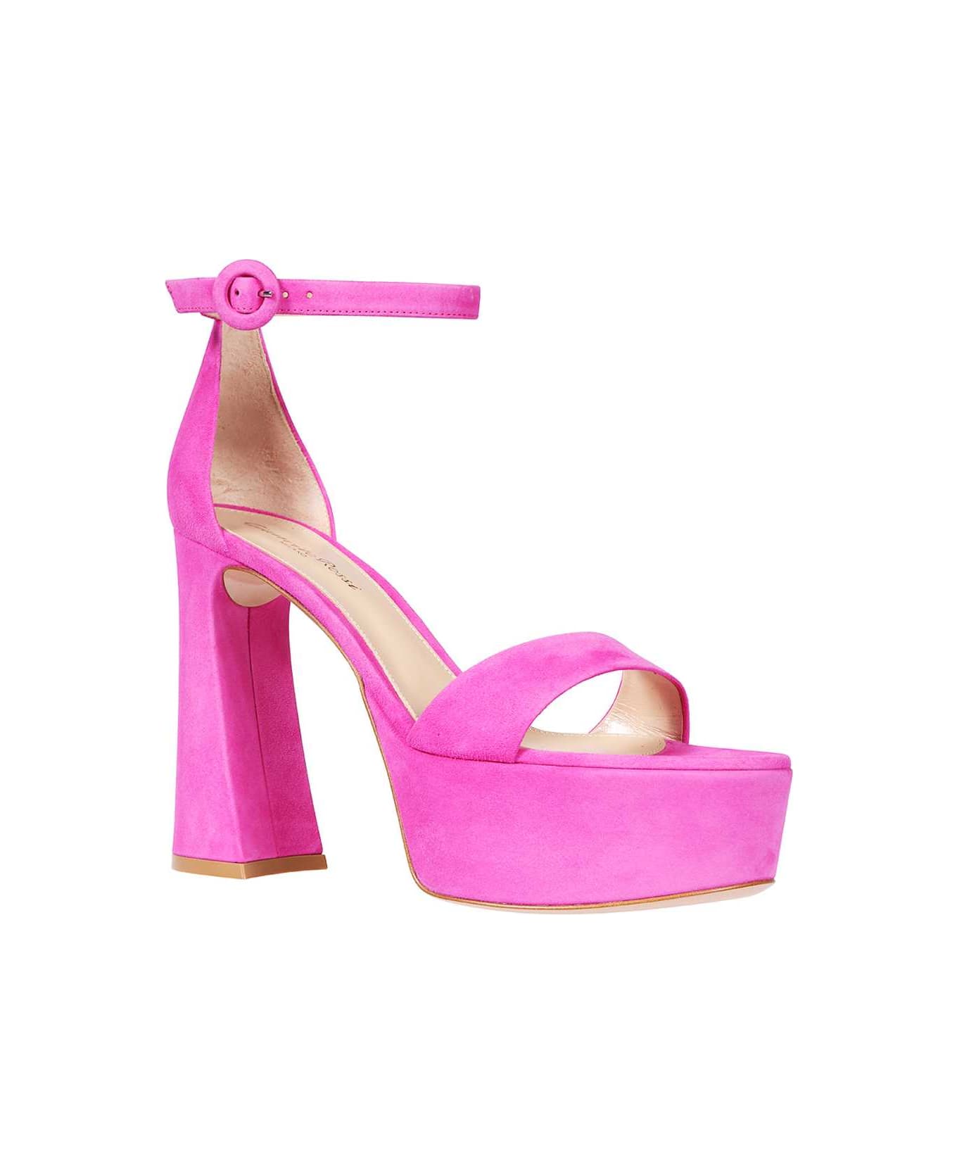 Gianvito Rossi Suede Ankle Strap Sandals - Fuchsia