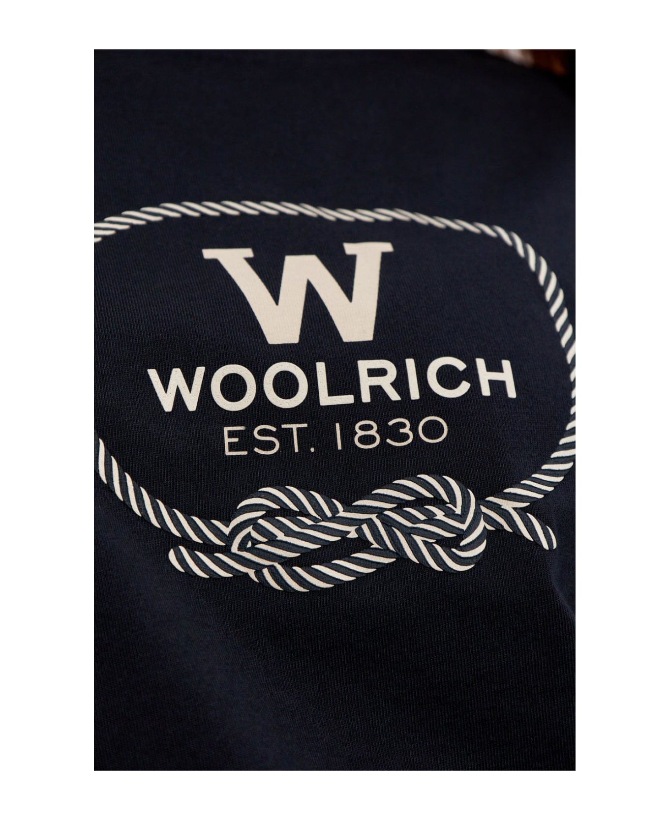Woolrich Graphic Printed Oversized T-shirt - BLUE Tシャツ