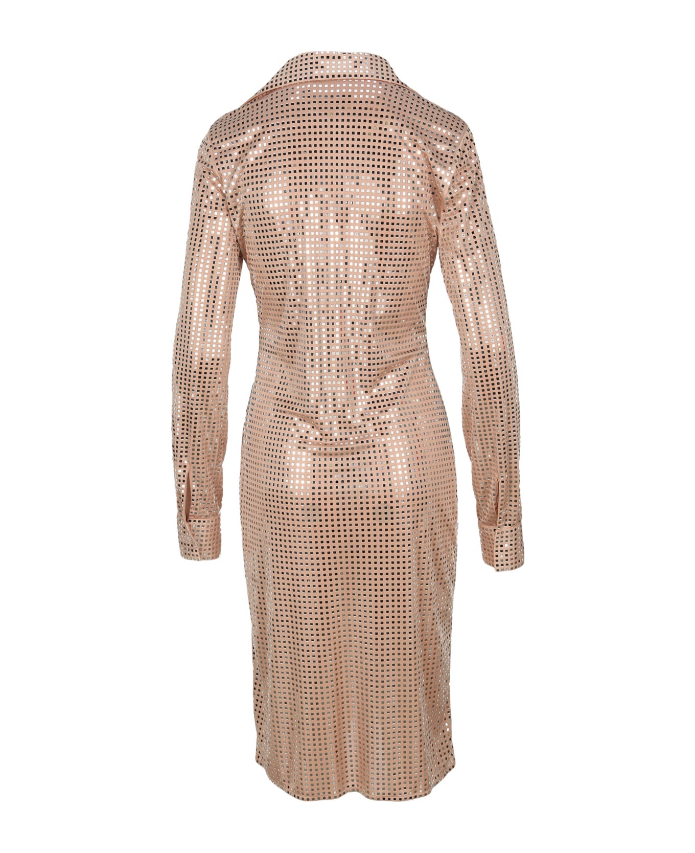 Bottega Veneta Embellished Dress - Skin 