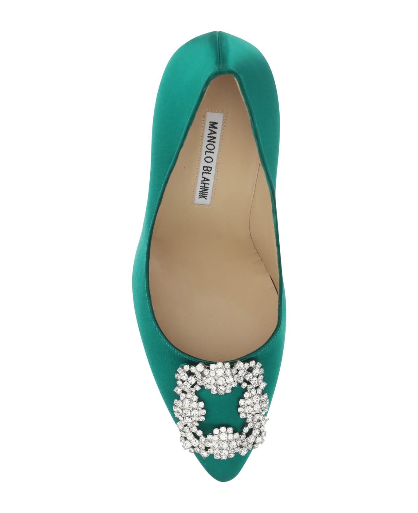 Manolo Blahnik Hangisi Pumps - Bgrn