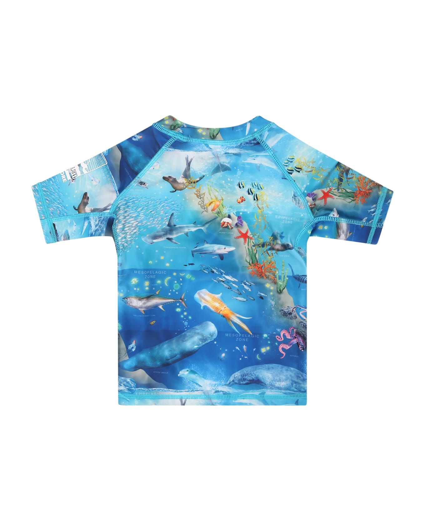 Molo Light Blue T-shirt For Baby Boy With Marine Animals - Light Blue 水着