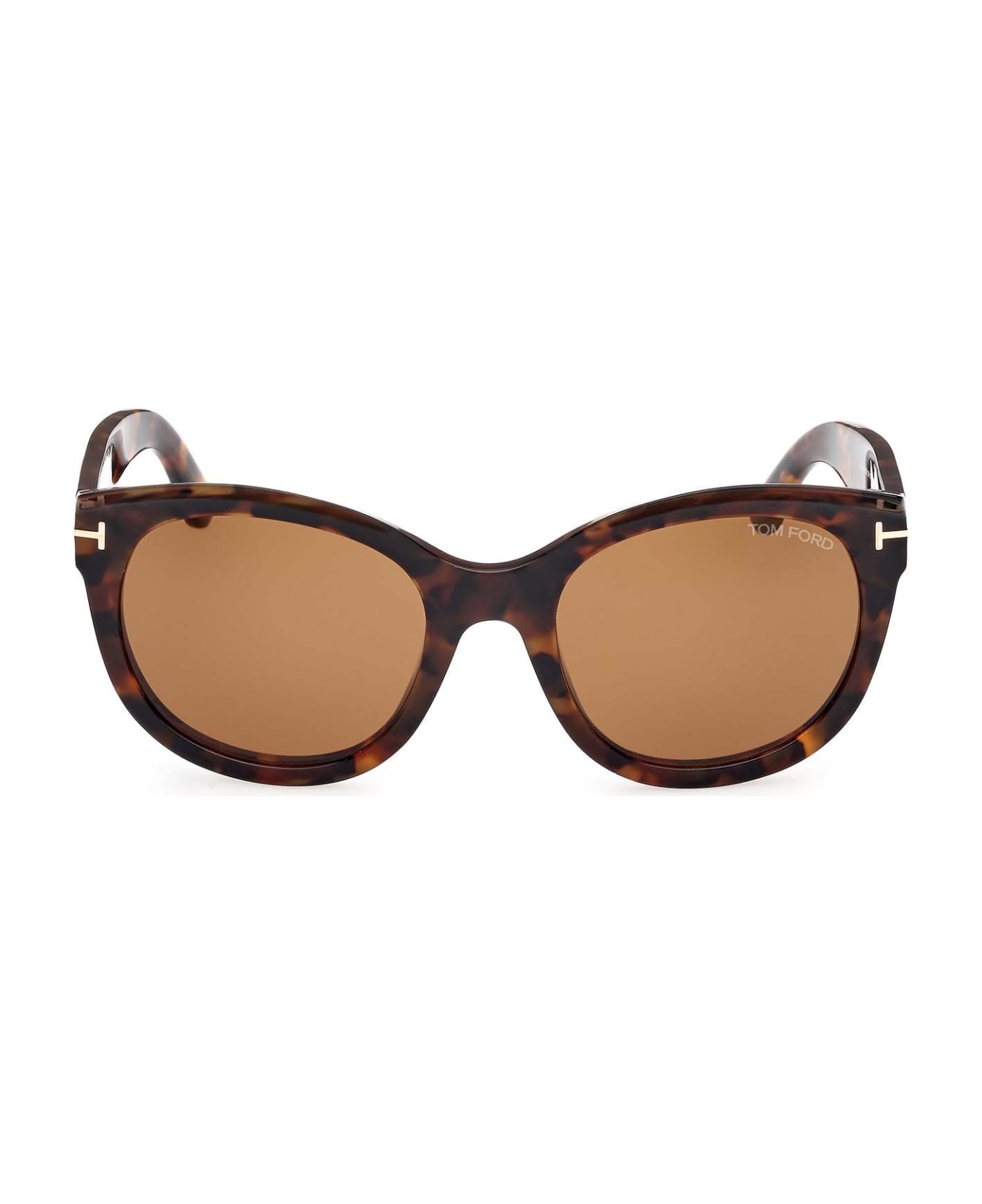 Tom Ford Eyewear Sunglasses - Marrone/Marrone サングラス