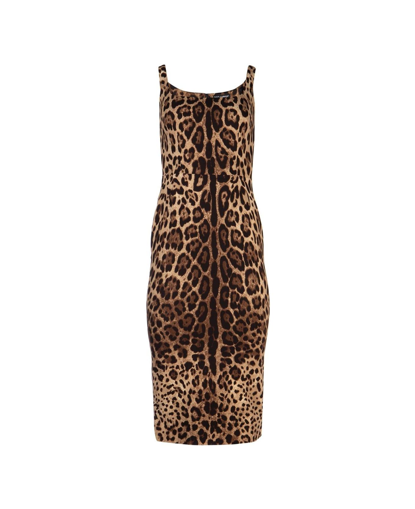 Dolce & Gabbana Leopard Print Fitted Midi Dress - Neutro