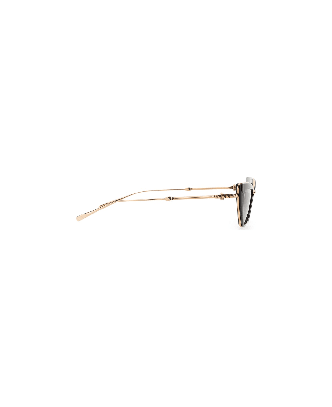 Valentino Eyewear Viii Cat-eye Titanium Sunglasses - BROWN