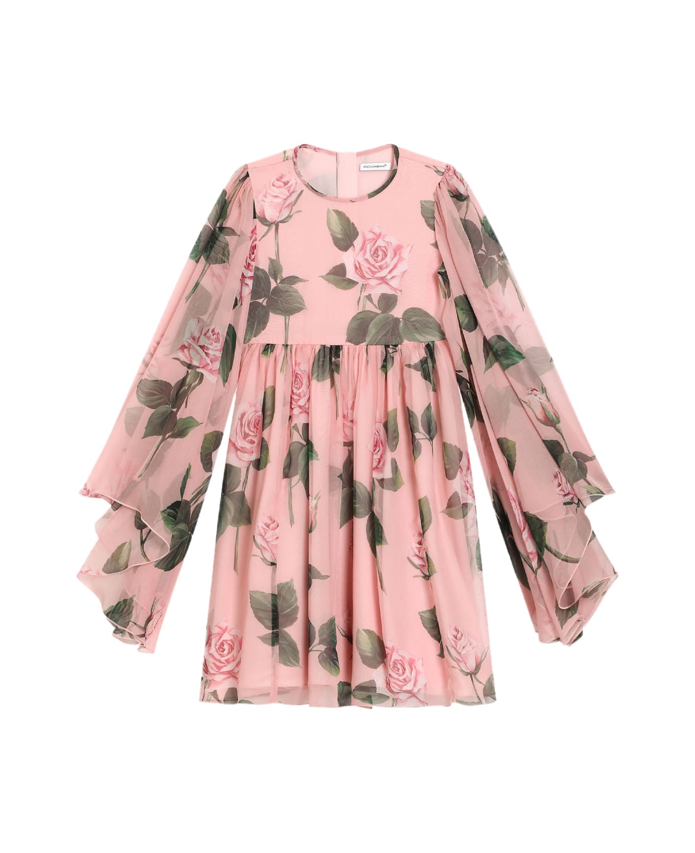Dolce & Gabbana Chiffon Dress With Rose Print - Rose