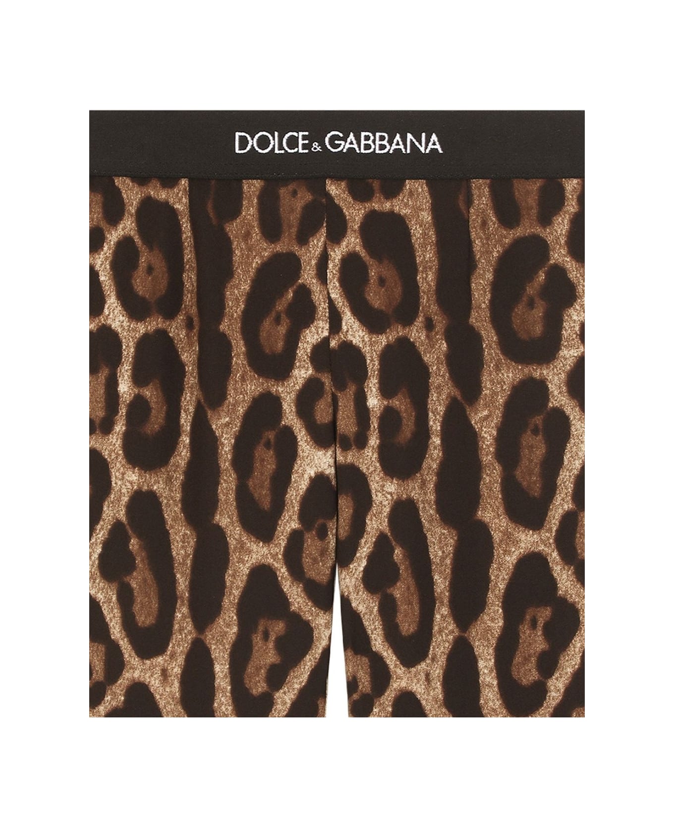 Dolce & Gabbana Leggings Con Stampa - Brown