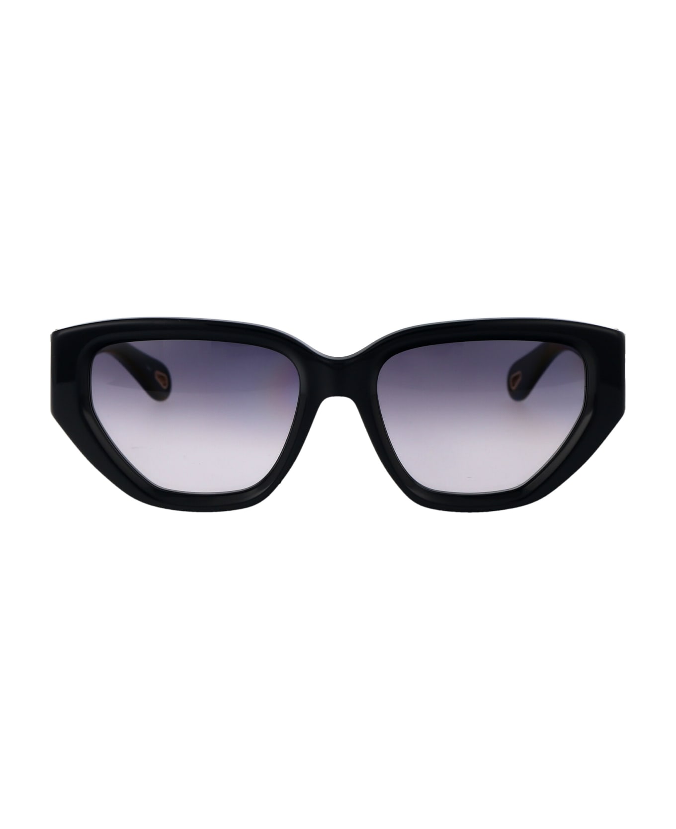 Chloé Eyewear Ch0235s Sunglasses - 003 BLUE BLUE BLUE
