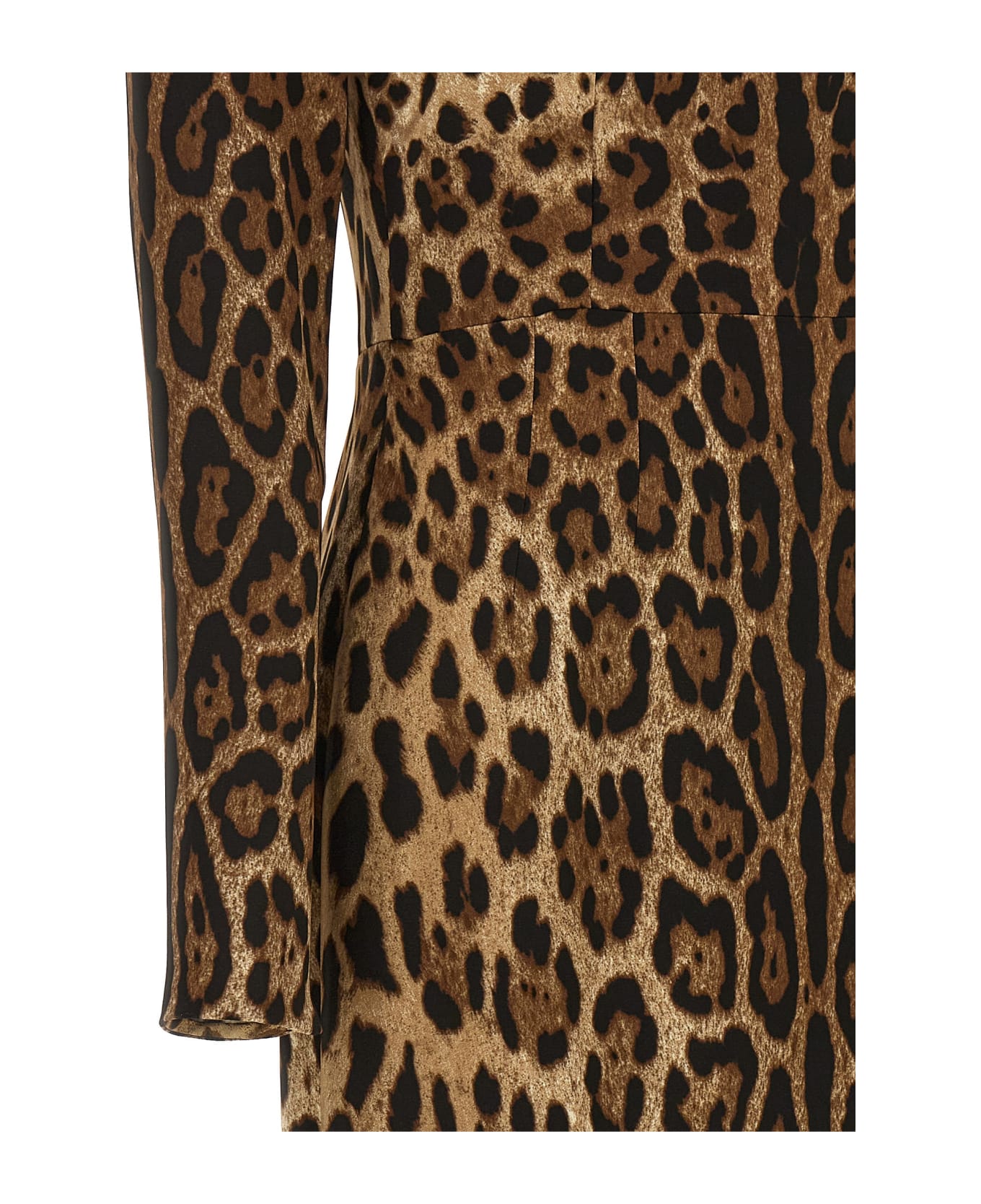 Dolce & Gabbana 'leopard' Dress - Brown