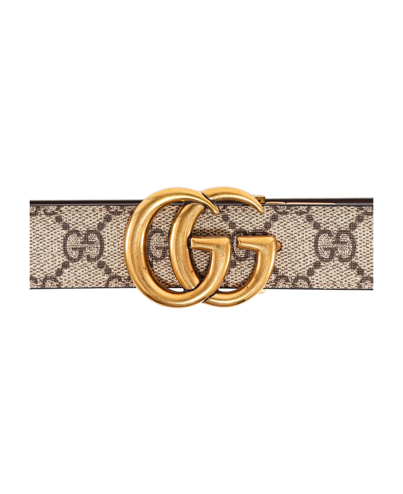 Gucci Belt - Beige