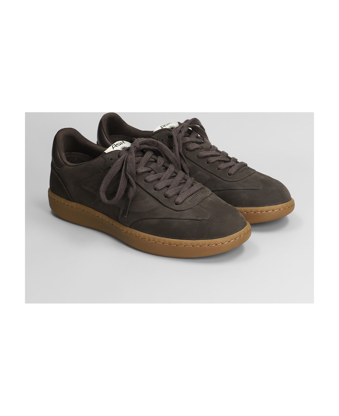 Ash Siena Sneakers In Brown Nubuck - brown