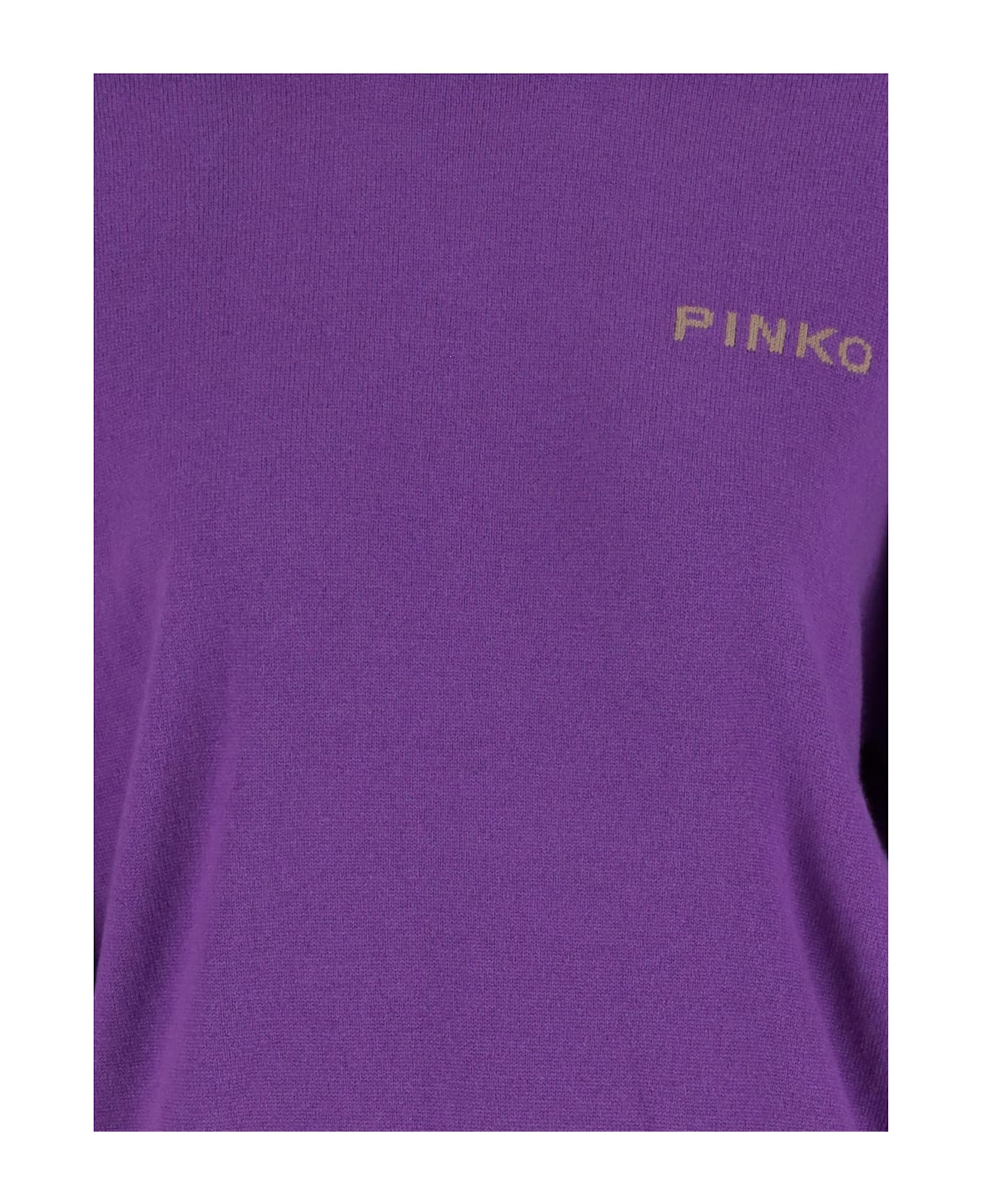 Pinko Wool And Cashmere Logo Sweater - Purple