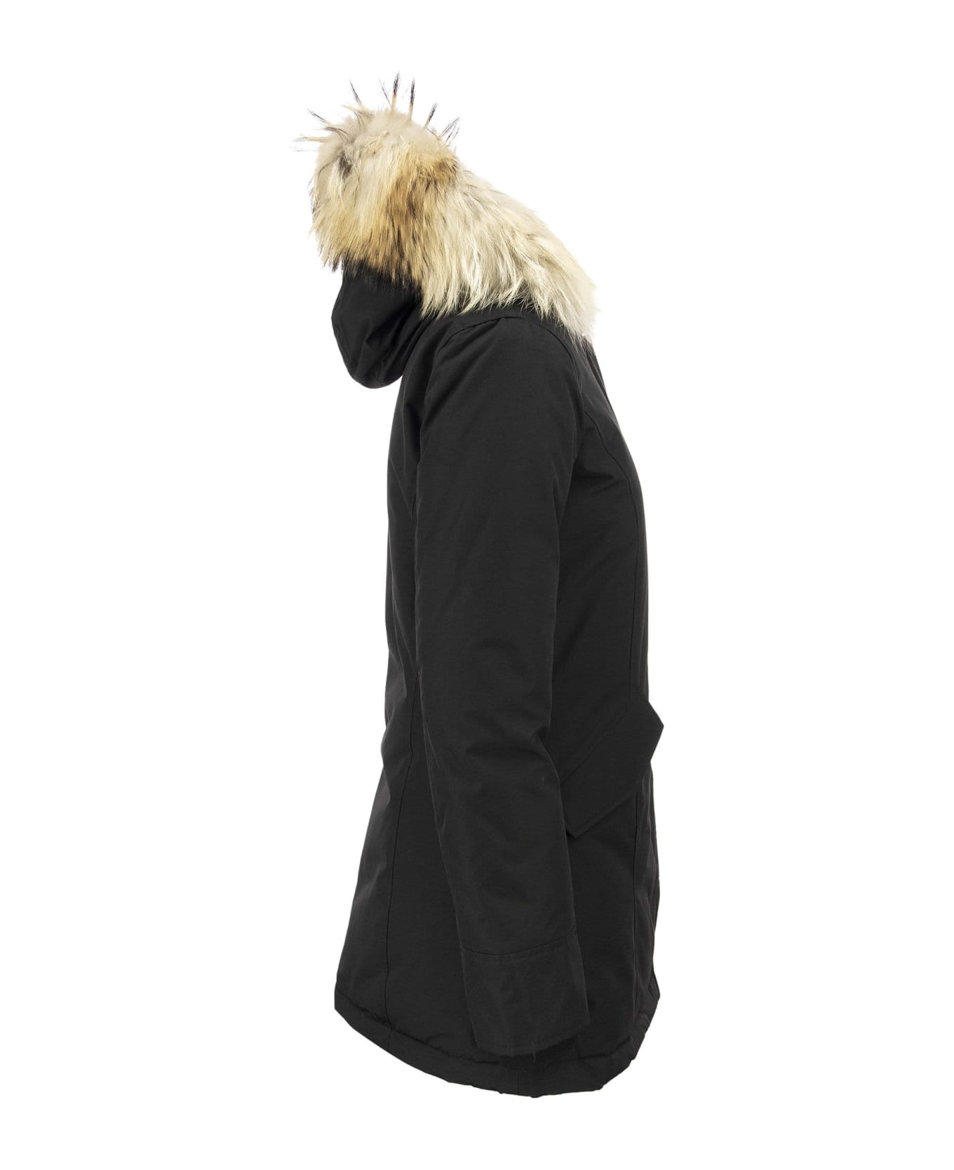 Woolrich Arctic Parka Fur Racoon - Blk Black