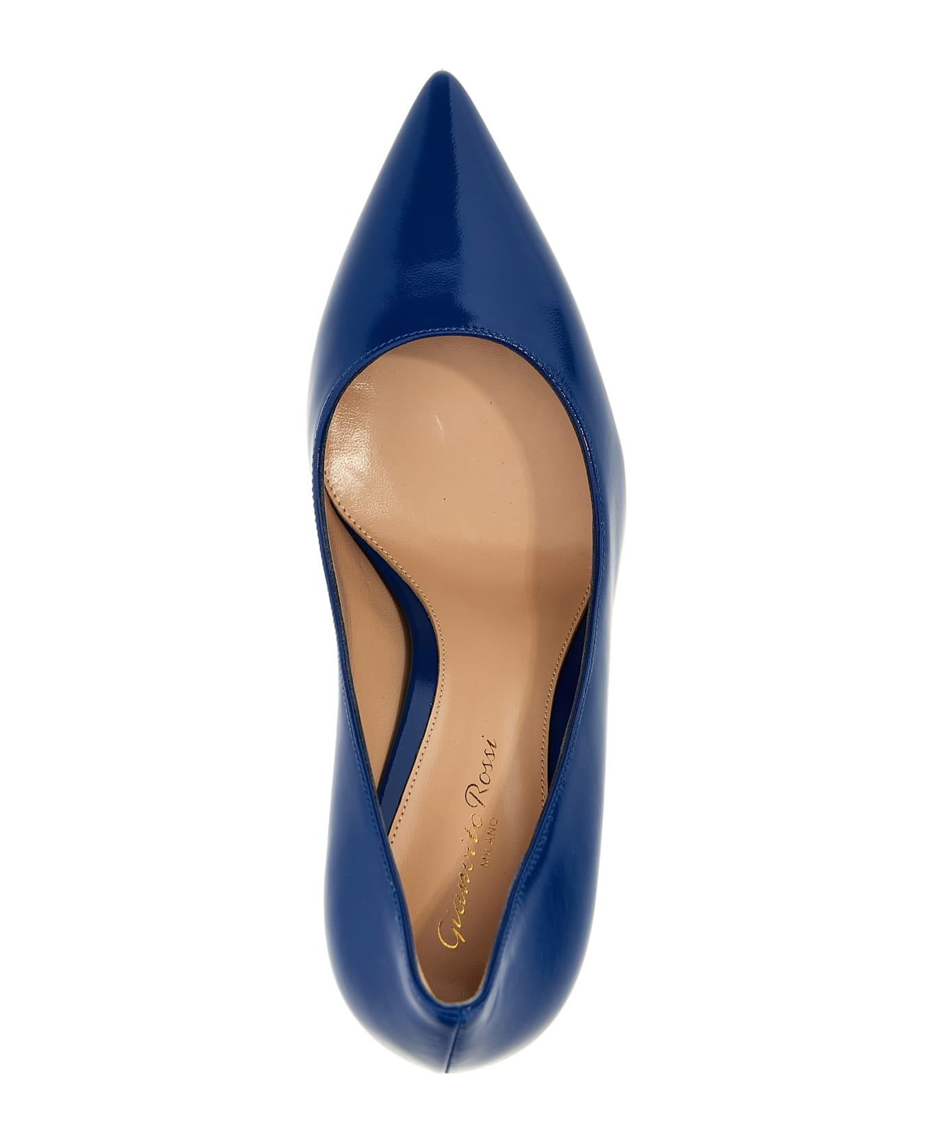 Gianvito Rossi 
gianvito
 Pumps - Blue