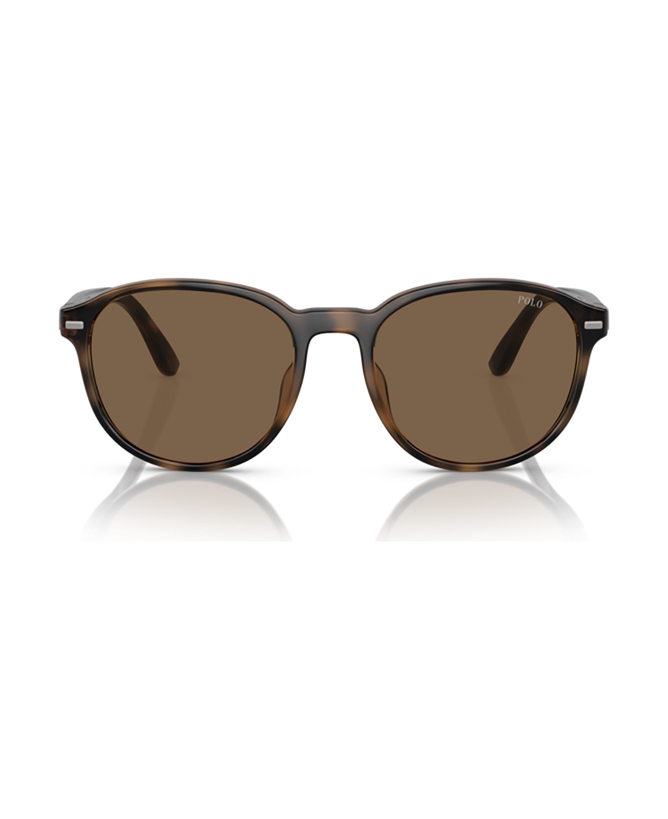 Polo Ralph Lauren Ph4207u Shiny Havana Sunglasses - Shiny Havana サングラス