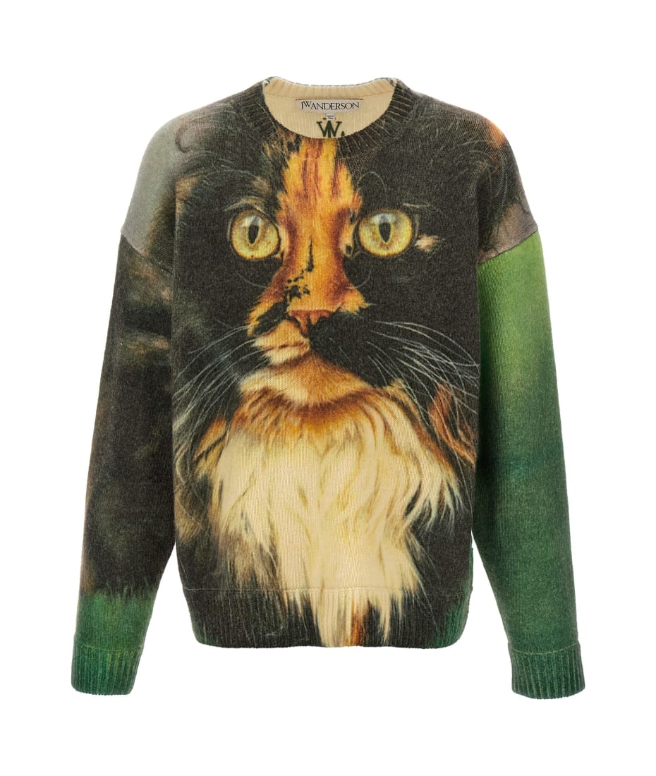 J.W. Anderson 'cat' Print Sweater | italist