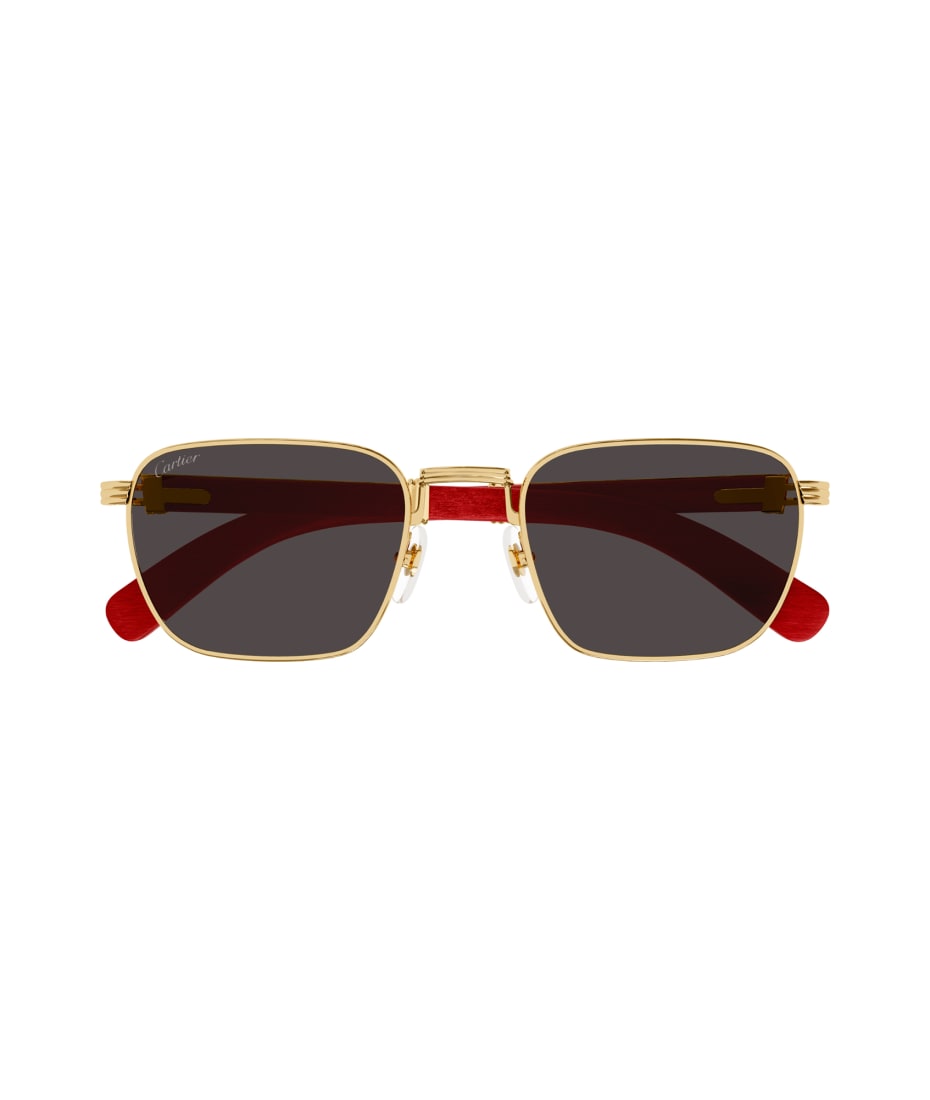 cartier ct0363s
