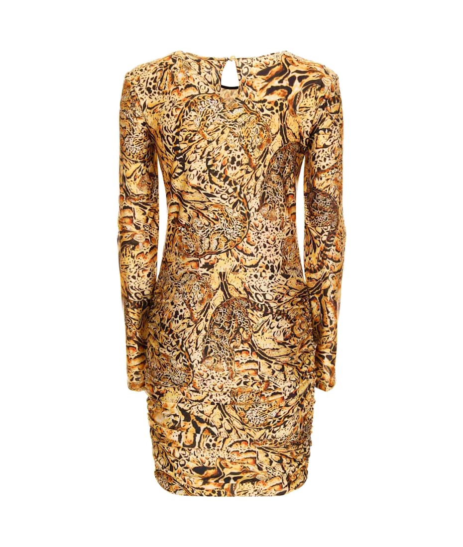 green emerald velvet dress Just Cavalli Women's Knit Dress Dress, Gold, M at Amazon Women's Clothing  store