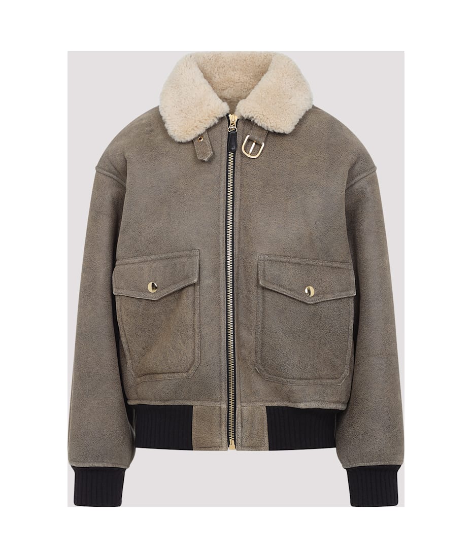 ブルゾン CELINE SS25 Celine Aviateur Brode Blouson (2EB60674R 31HN) Celine Aviateur Brode Blouson | italist