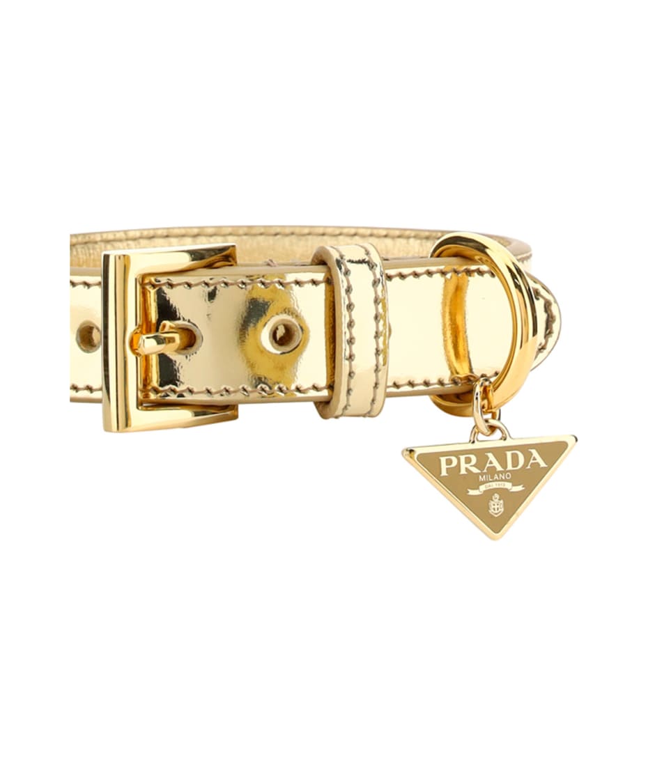logo-plaque polished pet collar, Prada