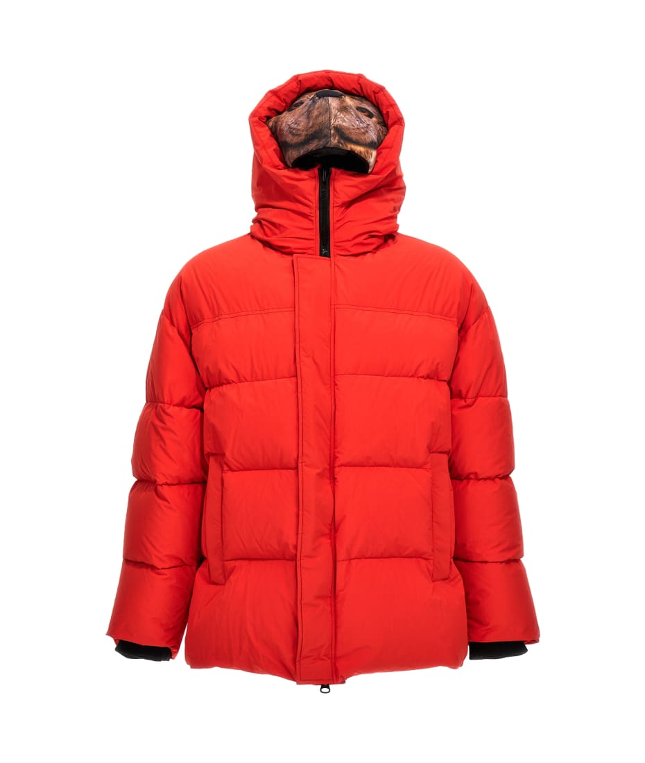 doublet 'animal Trim' Down Jacket | italist