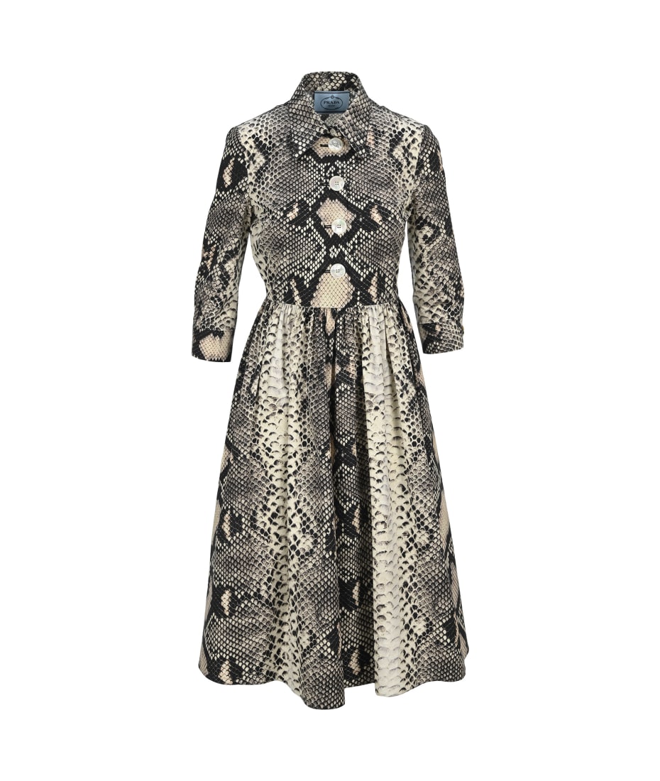 knee length dresses for ladies Snake Print Midi Dress main image 1