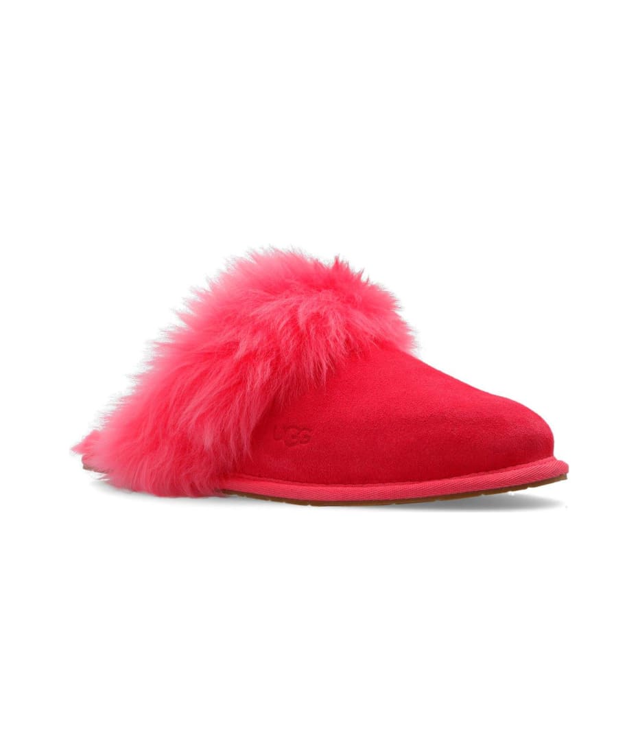 Ugg best sale slippers fuchsia