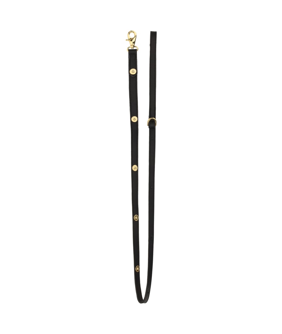 Versace dog leash hotsell
