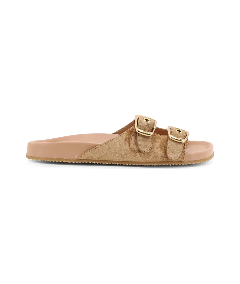 Chloé Polly Suede Sandals With Gold Metal Buckles | italist