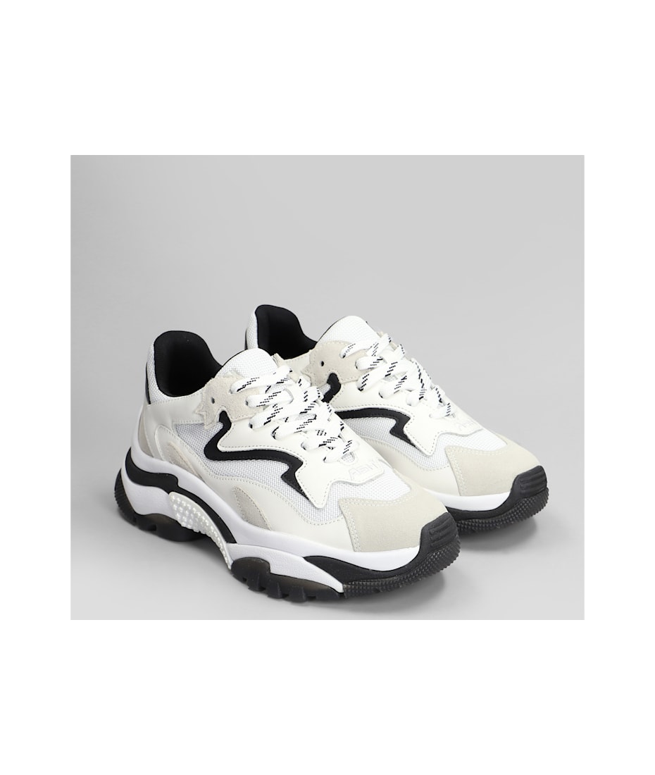 スニーカー ASH Women Sneakers ADDICT05 WHITE Sneakers Ash 
