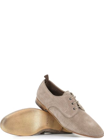 Alexander Hotto Derby 59609