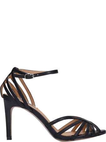 Bibi Lou Sandals In Black Leather