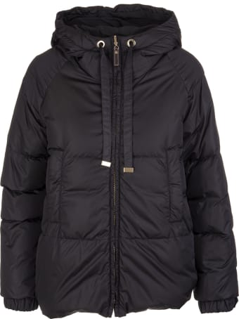 Max Mara The Cube Black Sportmi Short Down Jacket